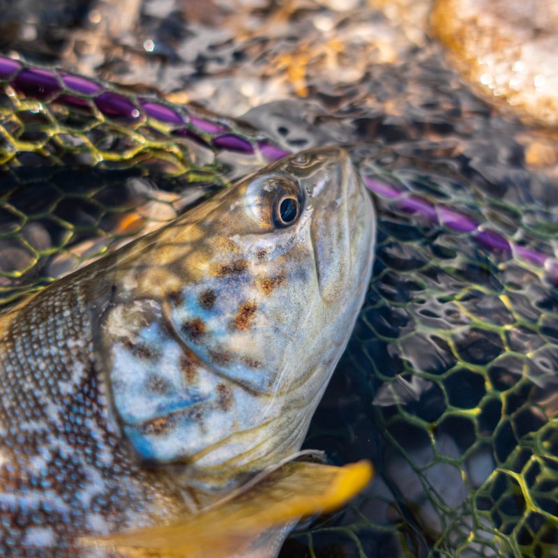 18092022-DSC00916 18092022-DSC00916