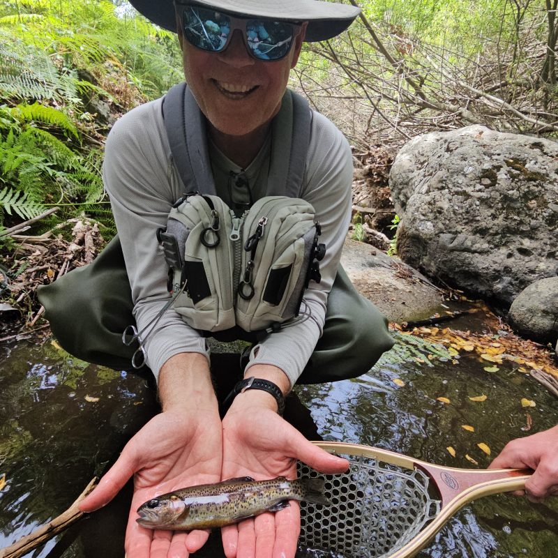 Rainbow Trout Rainbow Trout