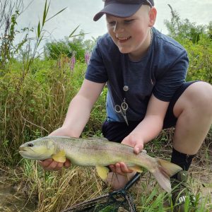 Marble Trout on river Avisio - Near Cavalese