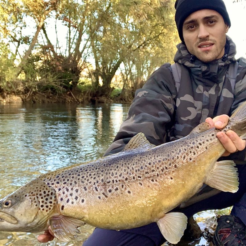 Big Brown Trout Close To Venice Big Brown Trout Close To Venice