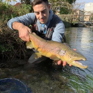 Big Brownie in Chalk Stream - Near Venice
