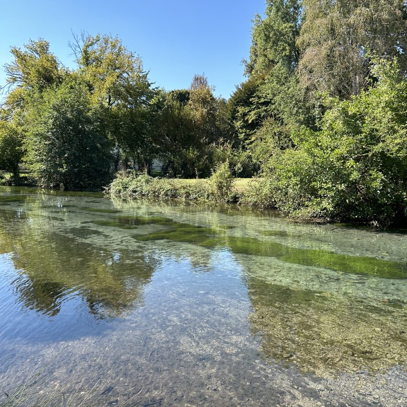 Fishing Spot Close To Venice Fishing Spot Close To Venice
