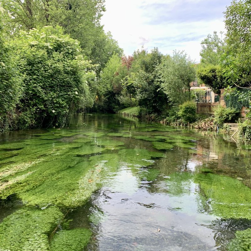 Fishing Spot Close To Venice Fishing Spot Close To Venice