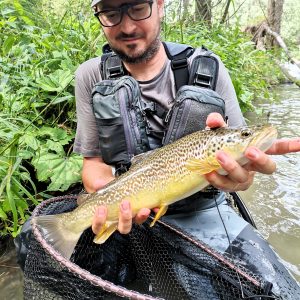 Trout Fishing on Alps - Near Trento
