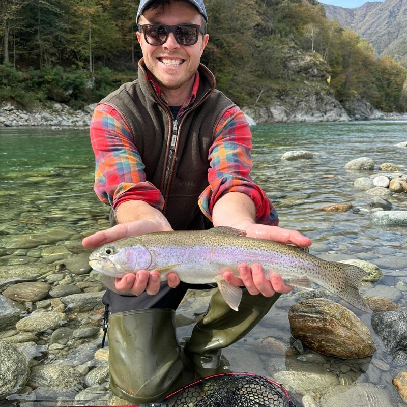 Rainbow Trout Rainbow Trout