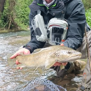 FlyFishing for trout- Near Cassino