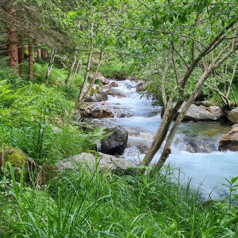 Flyfishing Trentino Flyfishing Trentino