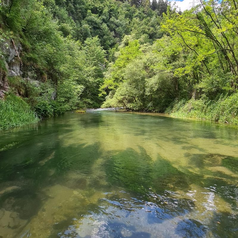 Flyfishing Trentino Flyfishing Trentino