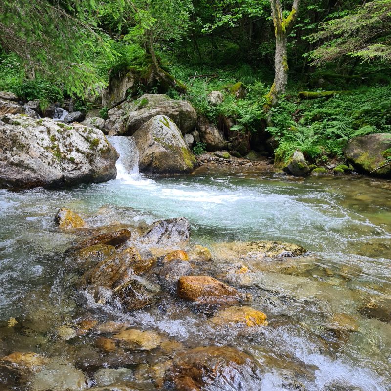 Flyfishing Trentino Flyfishing Trentino