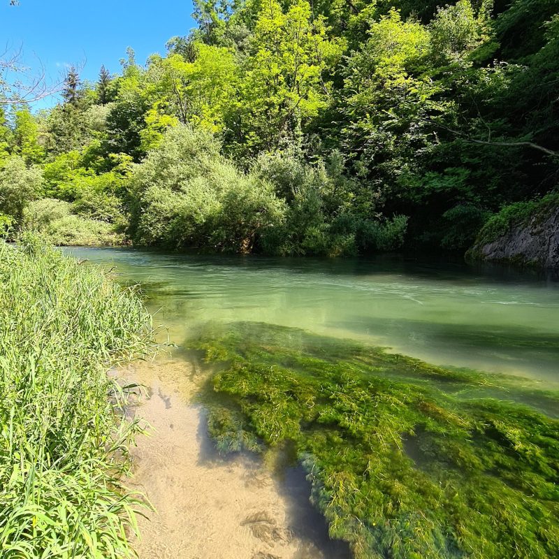 Flyfishing Trentino Flyfishing Trentino