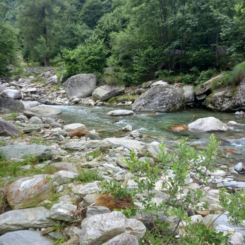 river sesia Tributary river sesia Tributary