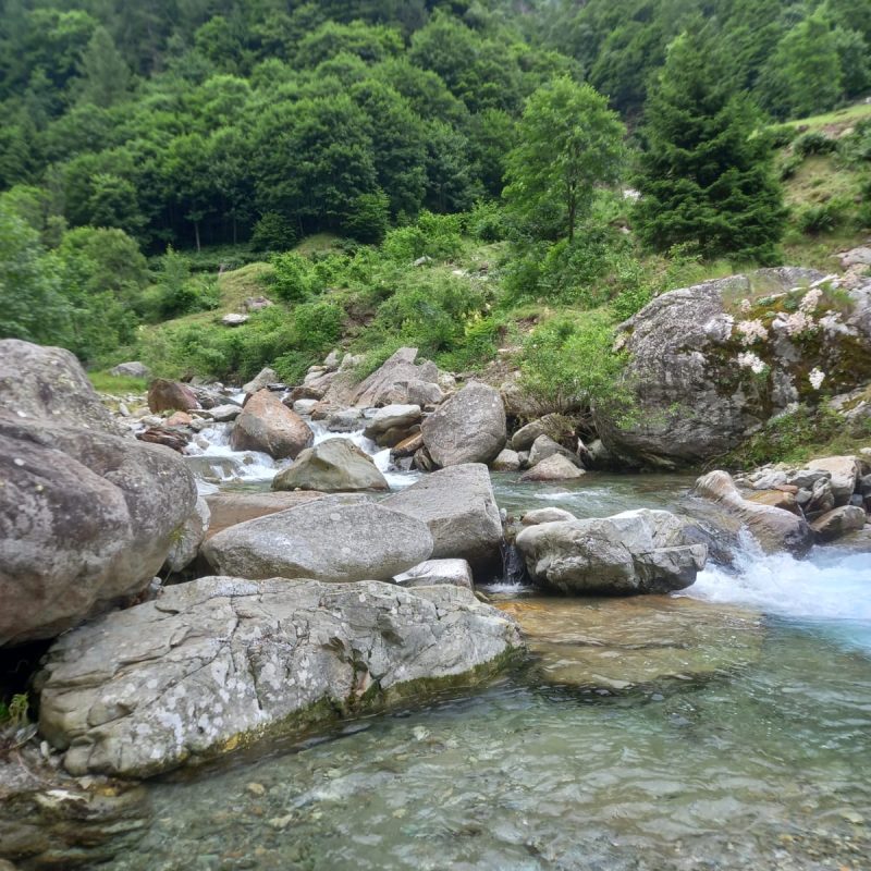 river sesia Tributary river sesia Tributary