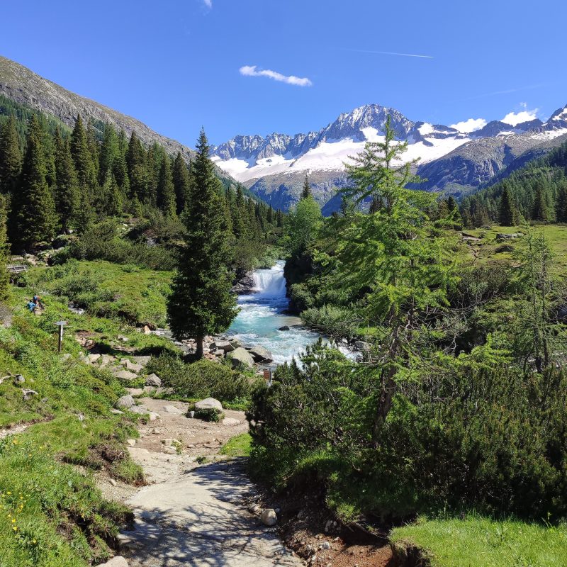 IMG_20240627_102201 IMG_20240627_102201