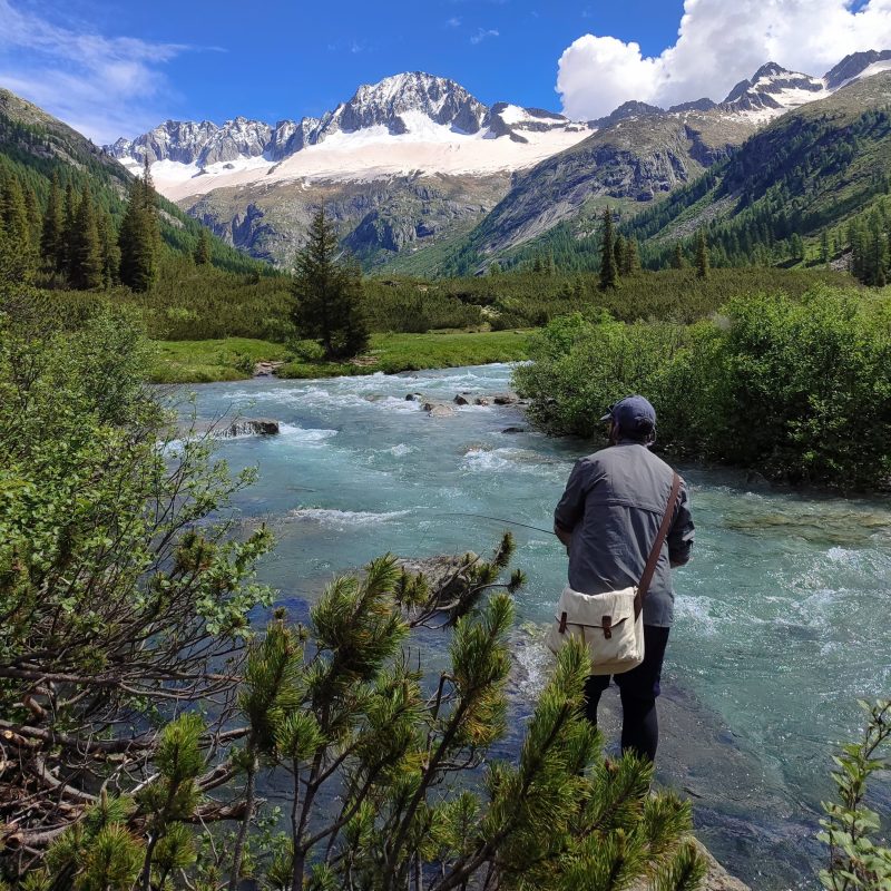 IMG_20240627_111430 IMG_20240627_111430