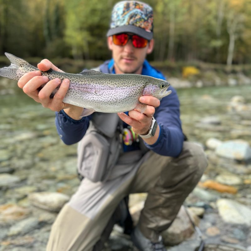 Rainbow Trout Rainbow Trout