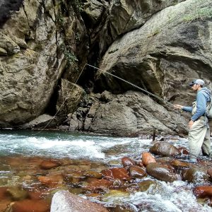 Flyfishing for Trout - South Tyrol