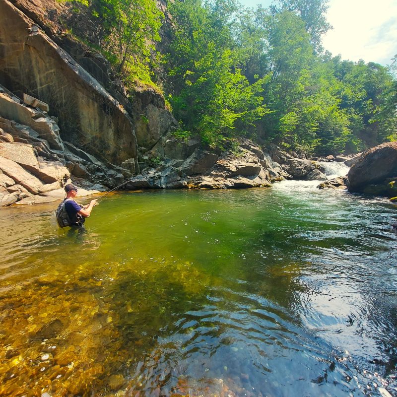 Flyfishing Trentino Flyfishing Trentino