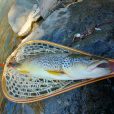 Flyfishing Trentino