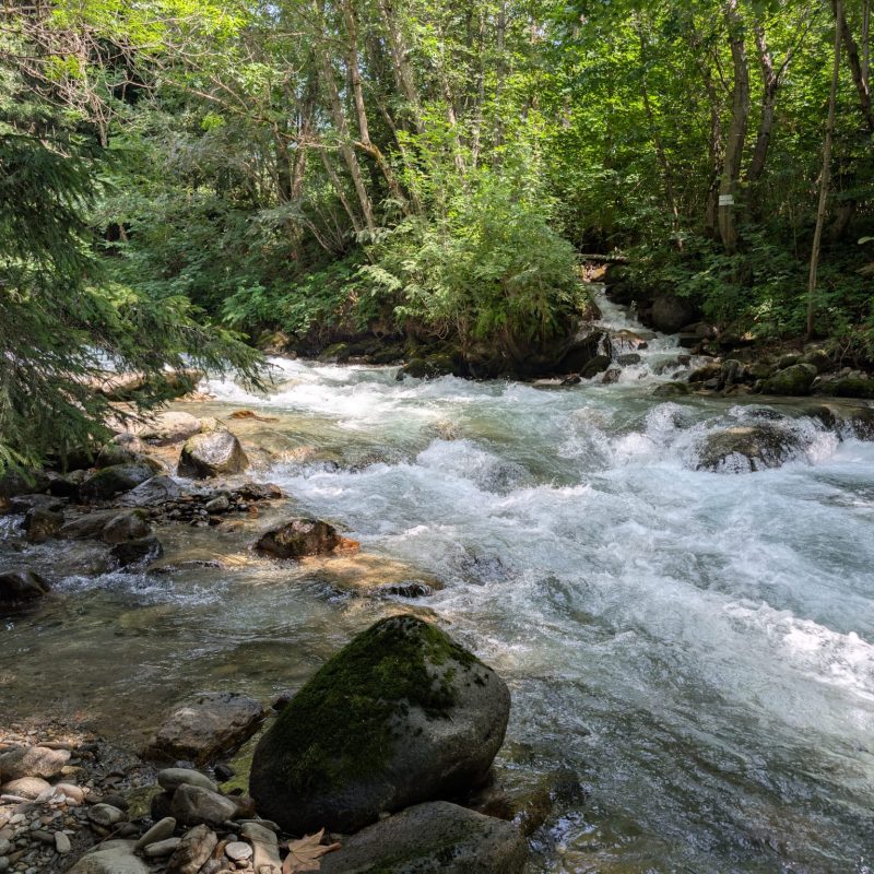 Fishing Ponte di Legno Fishing Ponte di Legno
