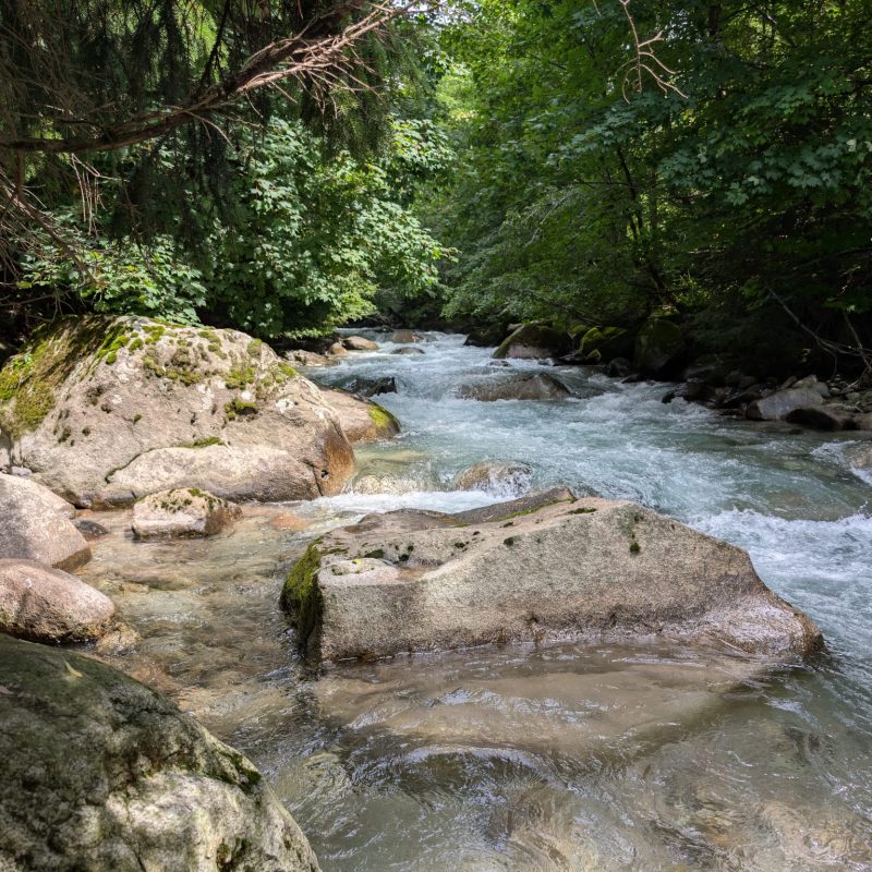 Fishing Ponte di Legno Fishing Ponte di Legno
