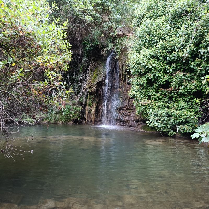Fishing for trout near Messina
