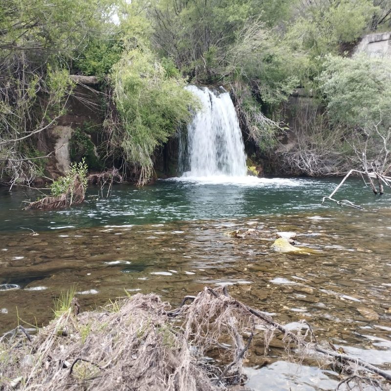 Messina trout fishing