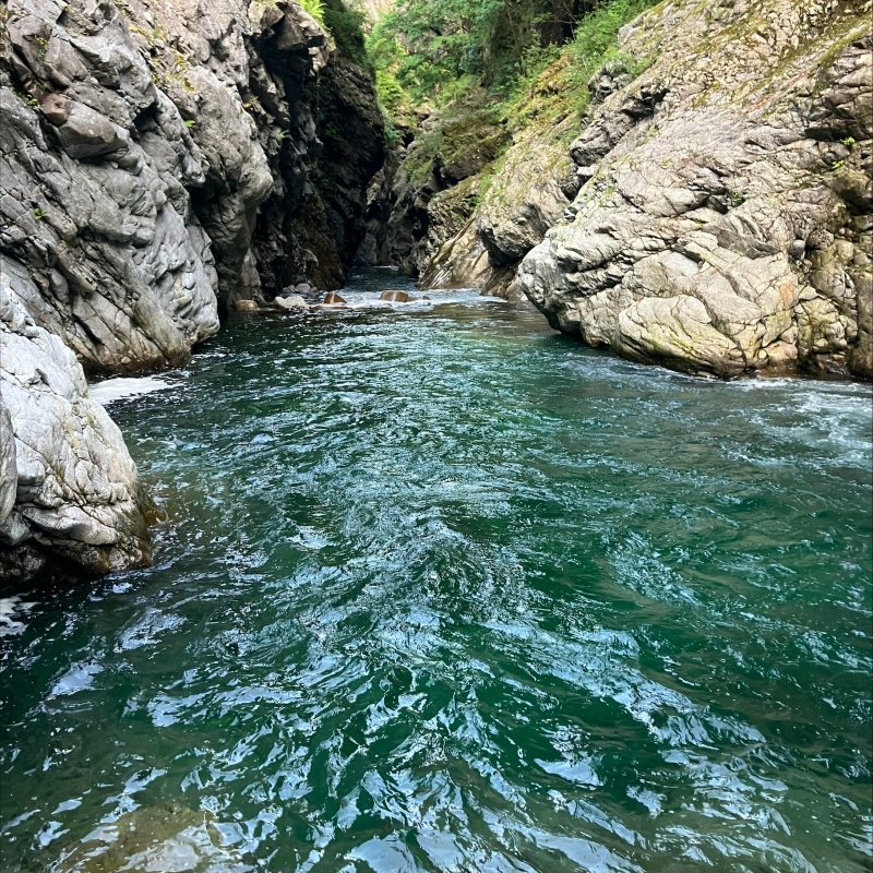 Guided trout fishing River Sesia Guided trout fishing River Sesia