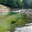 River Sesia fly fishing Italy