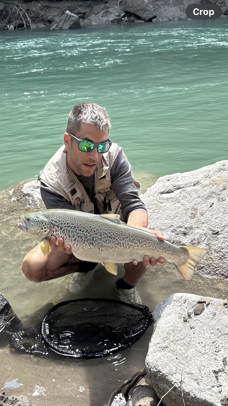 River Sesia fly fishing Italy River Sesia fly fishing Italy